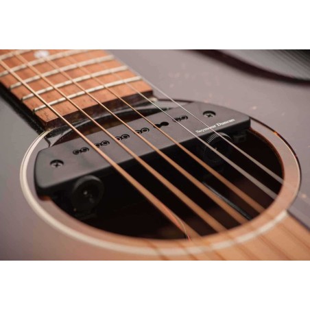 Seymour duncan SA-6 MAG MIC ACOUSTIC SYSTEM