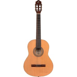 Ortega RSTC5M 2
