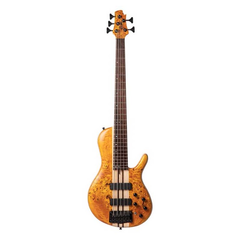 Cort A5 PLUS SC (REGULAR SCALE)