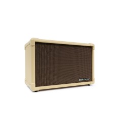 Blackstar ACOUSTIC CORE 30 2