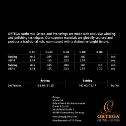 Ortega ABP-4 2