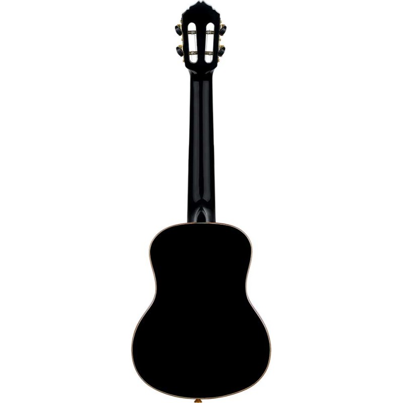 Ortega RUOX-TE