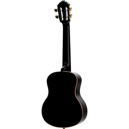 Ortega RUOX-TE