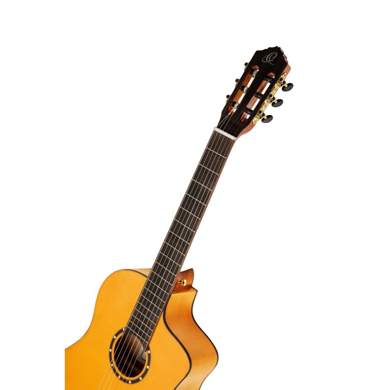 Ortega RCE170F