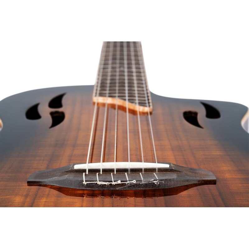 Ortega TOURPLAYER RTPDLX-ACA