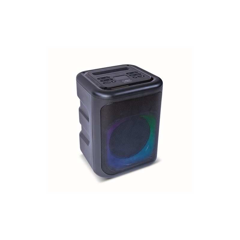 Carry on CO-SOUNDTRACK - MID SIZE PORTABLE BLUETOOTH SPEAKER - NEGRO