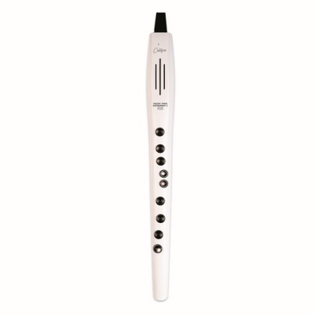 Carry on CO-DWI2PLUS-WT - DIGITAL WIND INSTRUMENT PLUS - BLANCO