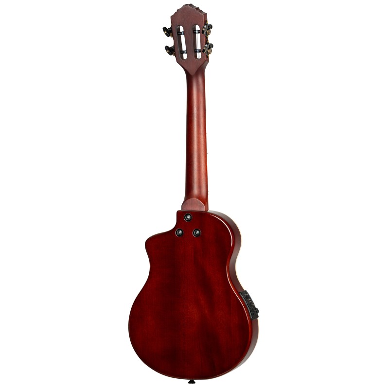 Ortega RTPS-U-NAT