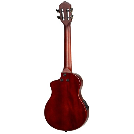 Ortega RTPS-U-NAT