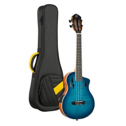 Ortega RTPX-U-FMA 2