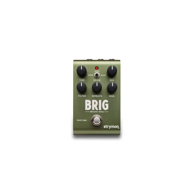 Strymon BRIG