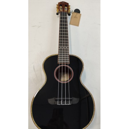 Ortega RUOX-TE