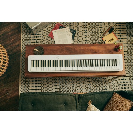 Casio PRIVIA PX-S1100WE KIT