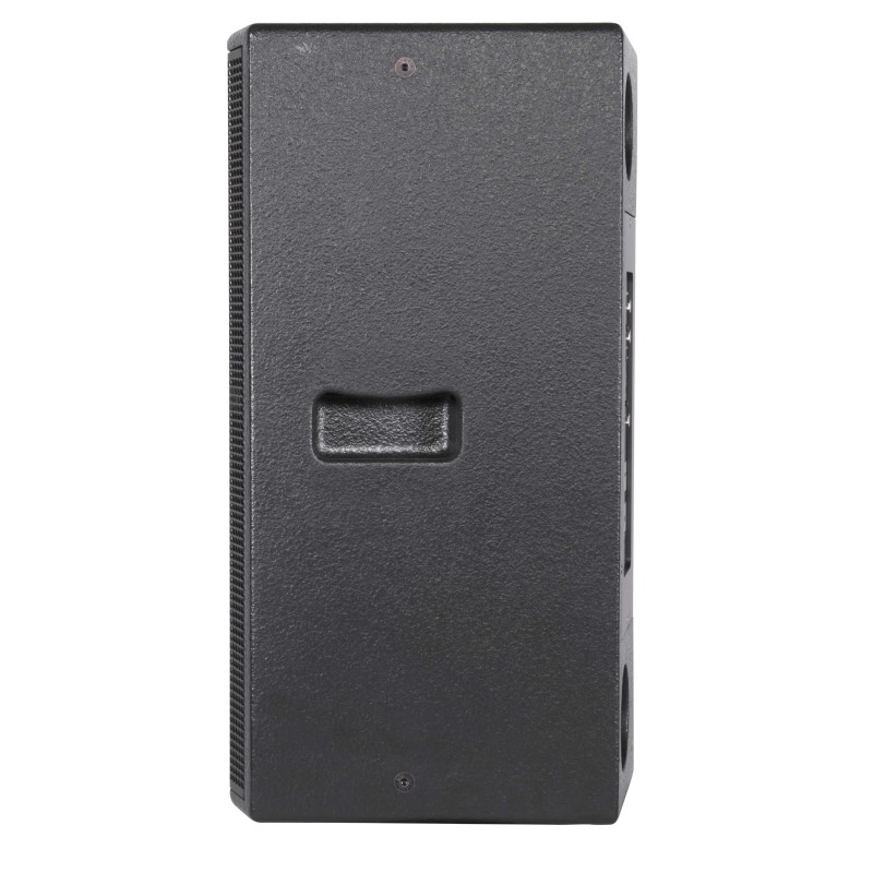 Altifalante passivo Full-Range de 2 vias, com 12"