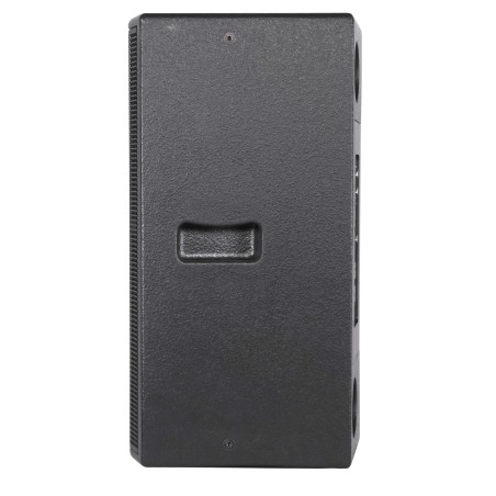 Altifalante passivo Full-Range de 2 vias, com 12"