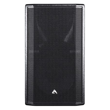 Altifalante passivo Full-Range de 2 vias, com 12"