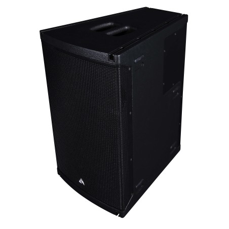 Coluna de array de 12” (305 mm) de curvatura constante de 2 vias, de gama completa
