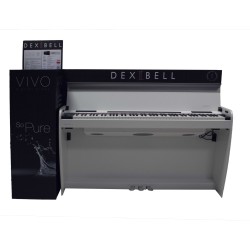 CARTON DISPLAY FOR SSTORE WHIT LIGHTING LOGO 