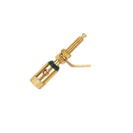 Professional single panel mount Binding Post with gold plated contacts and shell - terminal screw.
