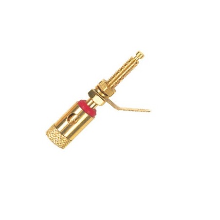 Professional single panel mount Binding Post with gold plated contacts and shell - terminal screw.