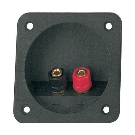 Dual Binding Post with ABS flange.