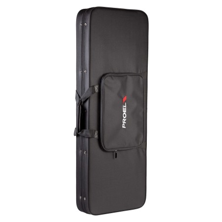 Electric guitar foam case.