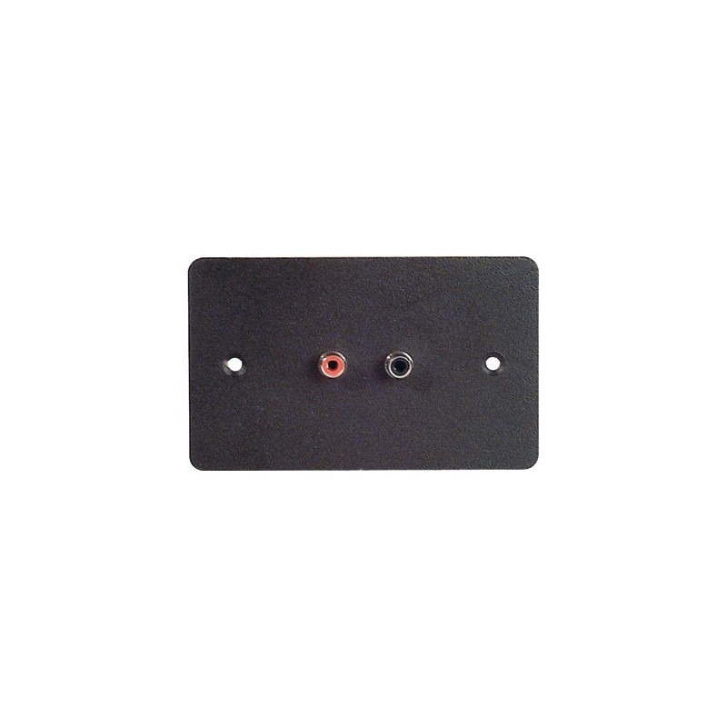 Placca da muro 70x114 mm.- 2 FORI PER RCA.