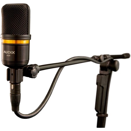 Audix A231