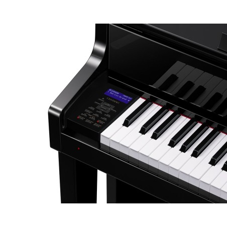 Casio CELVIANO GRAND HYBRID GP-510