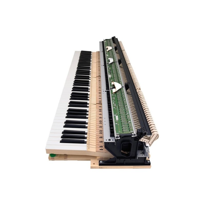 Casio CELVIANO GRAND HYBRID GP-310BK