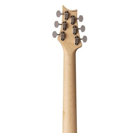 Prs guitars SILVER SKY MAPLE TUNGSTEN
