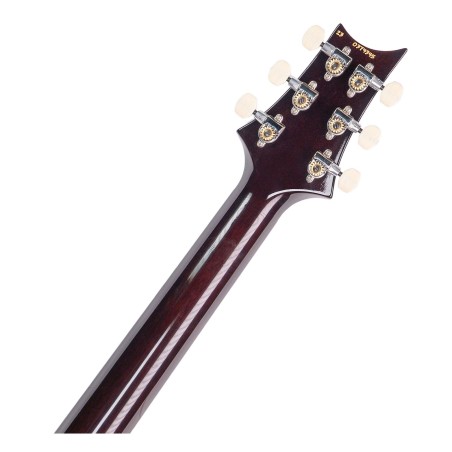 Prs guitars DGT BLACK GOLD BURST