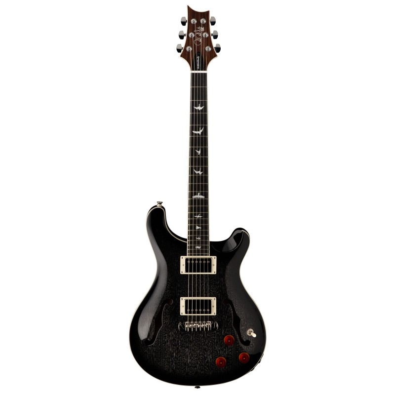 Prs guitars SE HOLLOWBODY STANDARD PIEZO DH DOG HAIR SMOKEBURST