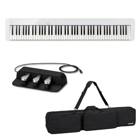 Casio PRIVIA PX-S1100WE + SC-800 + SP-34