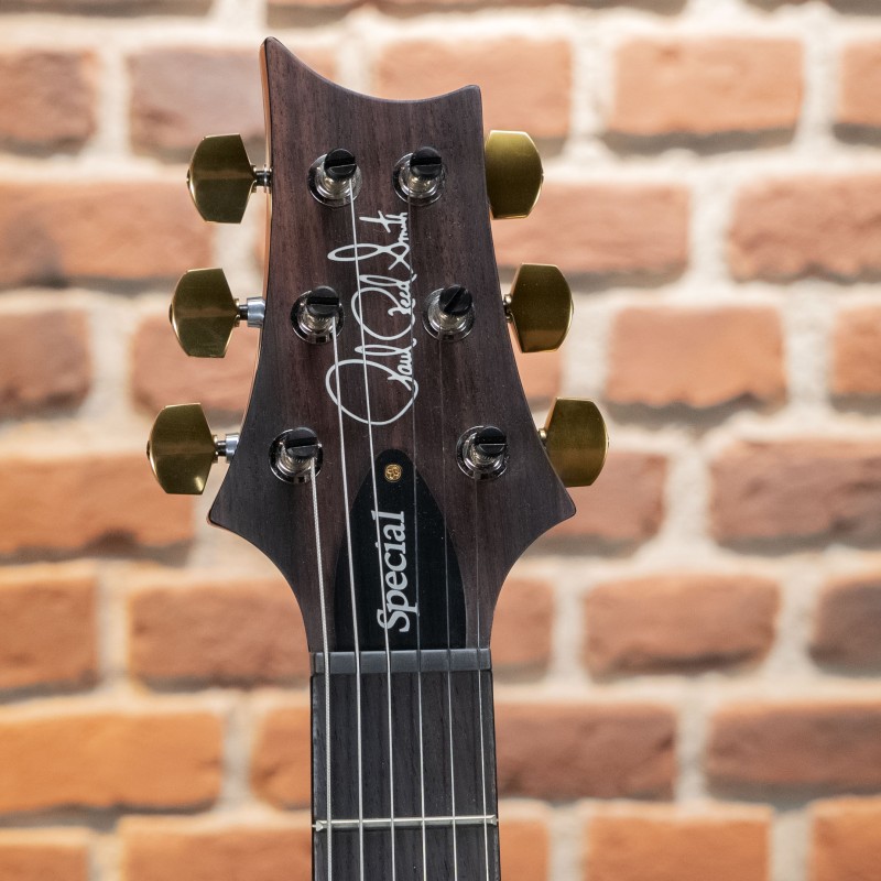Prs guitars SPECIAL 22 SEMIHOLLOW 10 CC ERIZA VERDE SMOKEBURST
