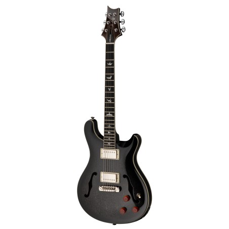 Prs guitars SE HOLLOWBODY STANDARD PIEZO DH DOG HAIR SMOKEBURST