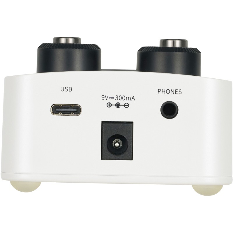 Mooer GL100