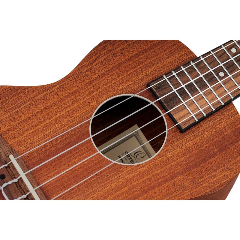 Ortega RFU11SE
