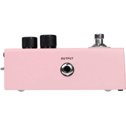 Mooer MVP1 AUTUNER 2