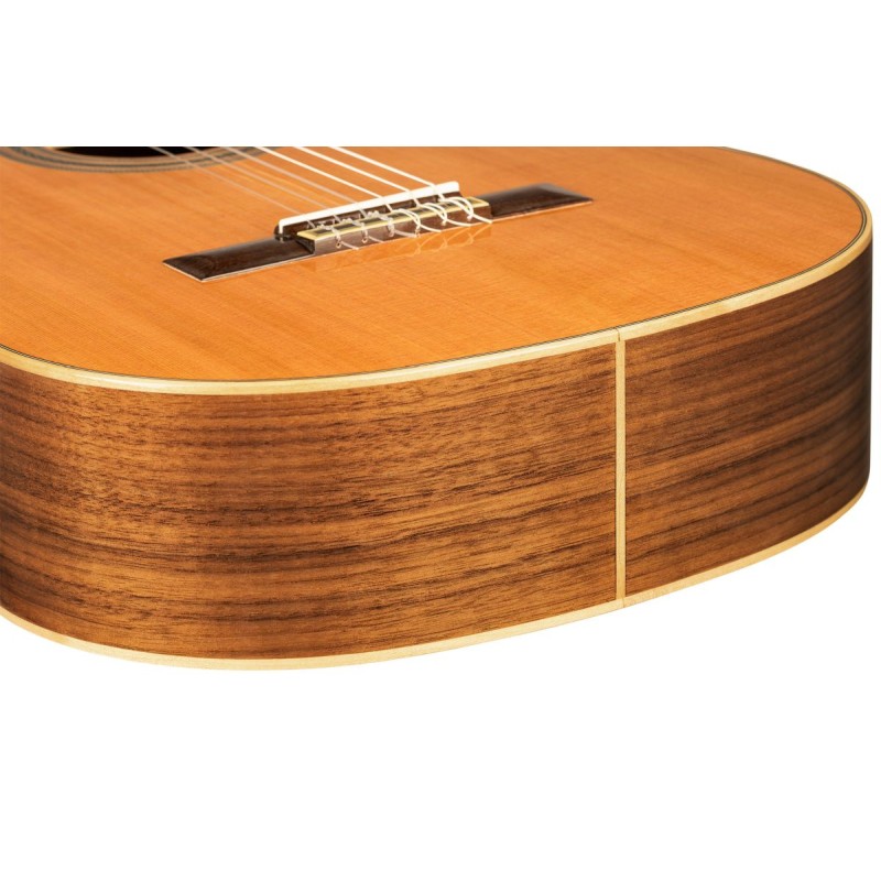 Ortega R20GWN-L