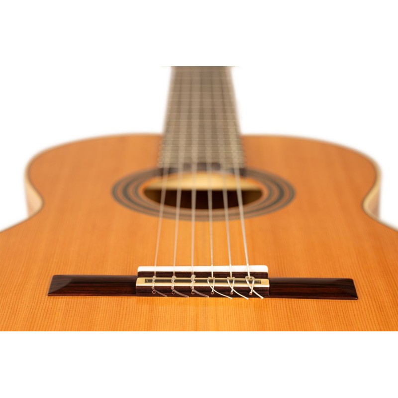 Ortega R20GRG-L