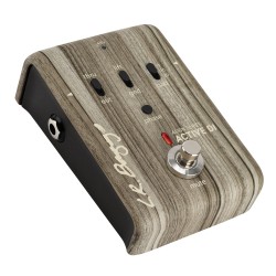 Lr baggs ALIGN ACTIVE DI 2