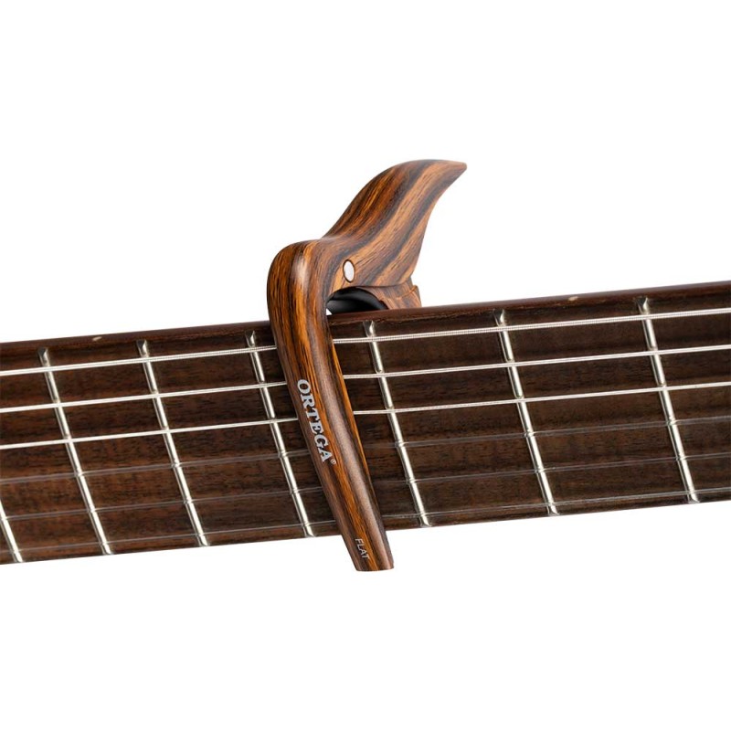 Ortega OCAPO-WND