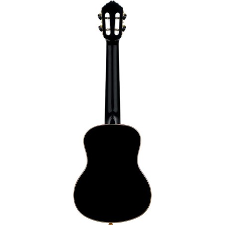 Ortega RUOX-TE