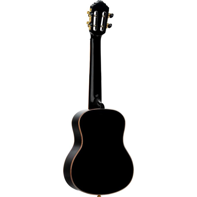 Ortega RUOX-TE