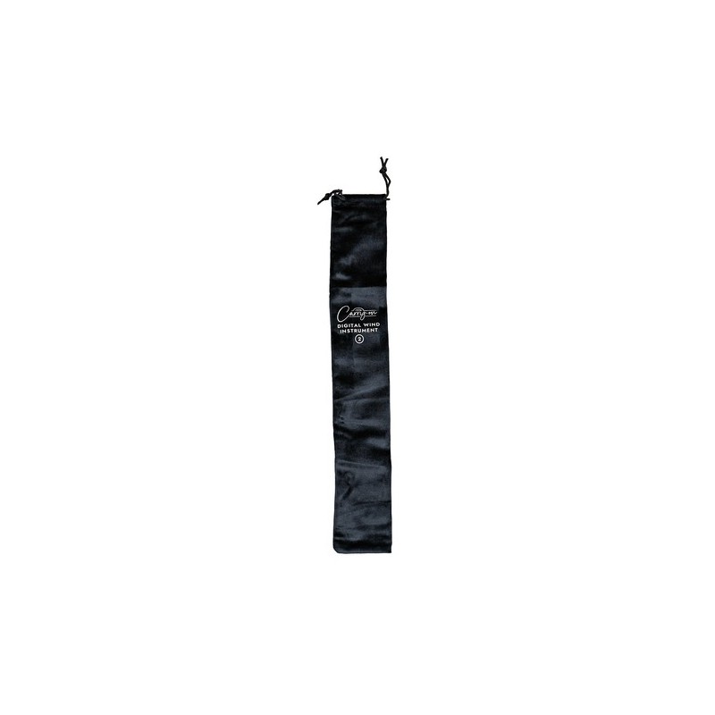 Carry on CO-DWI2PLUS-BK - DIGITAL WIND INSTRUMENT PLUS - NEGRO