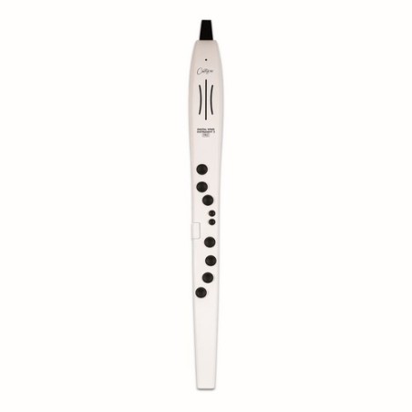 Carry on CO-DWI2PRO-WT - DIGITAL WIND INSTRUMENT PRO - BLANCO