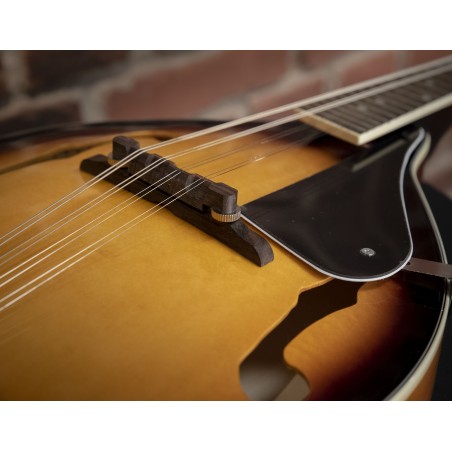 Oqan QMAN-10 SB SUNBURST