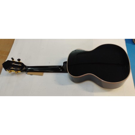 Ortega RUOX-TE