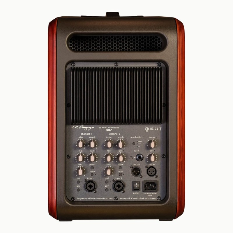 Lr baggs SYNAPSE